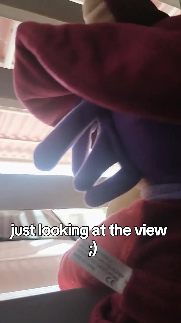 @the_niko