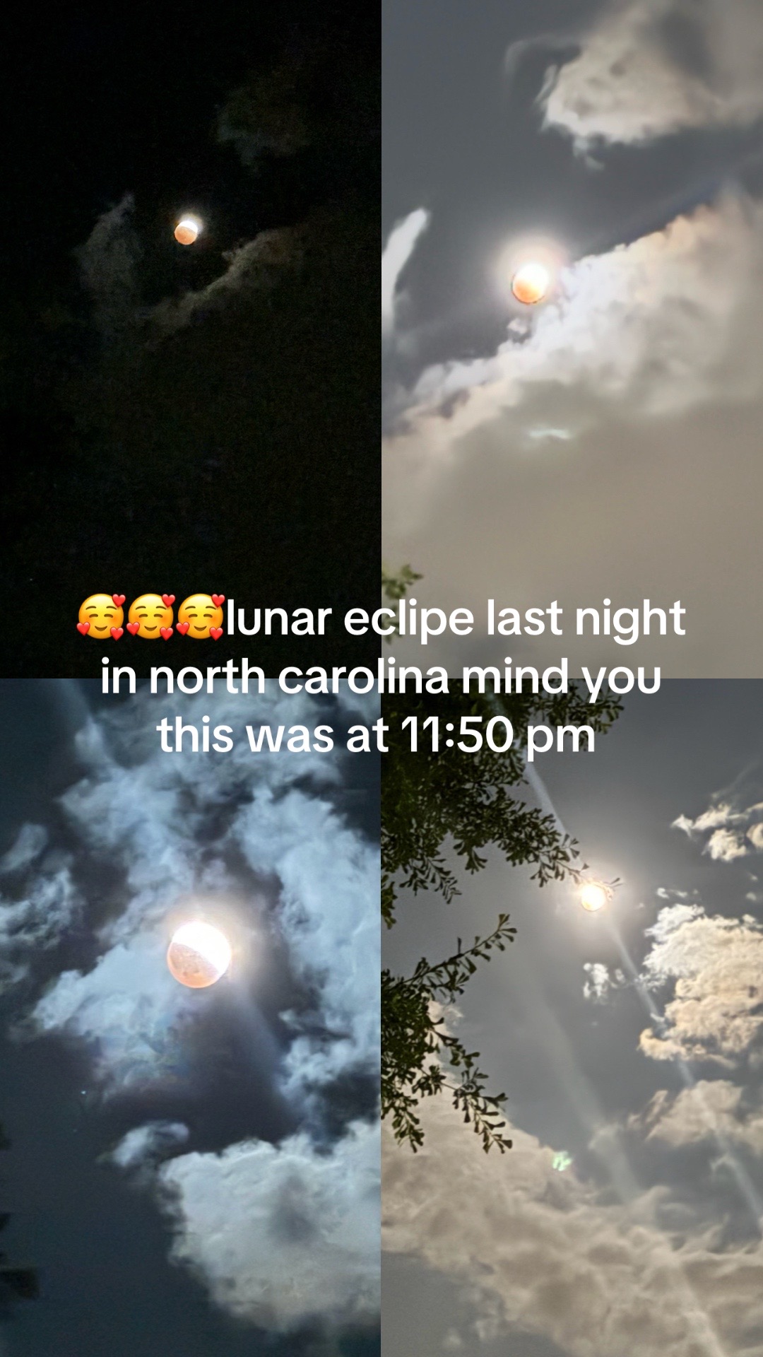@🍄Morgan_xo🍄