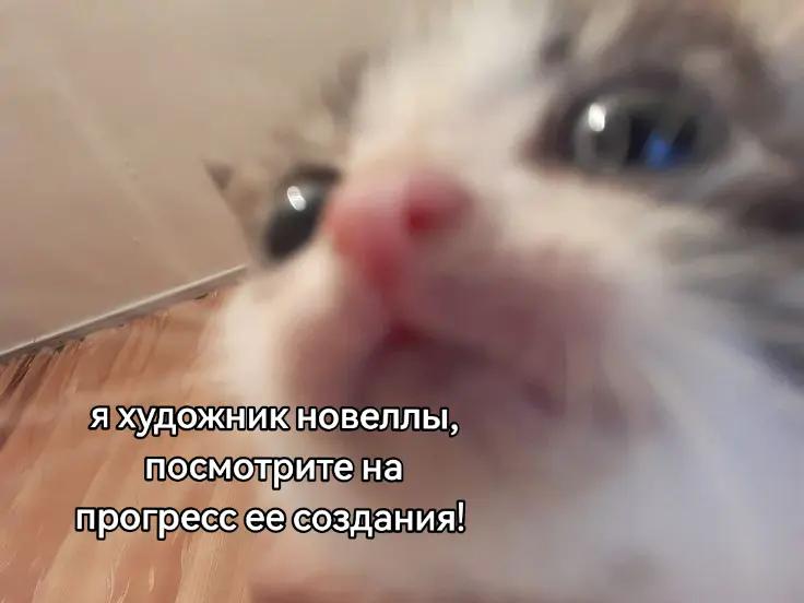 @Noyan