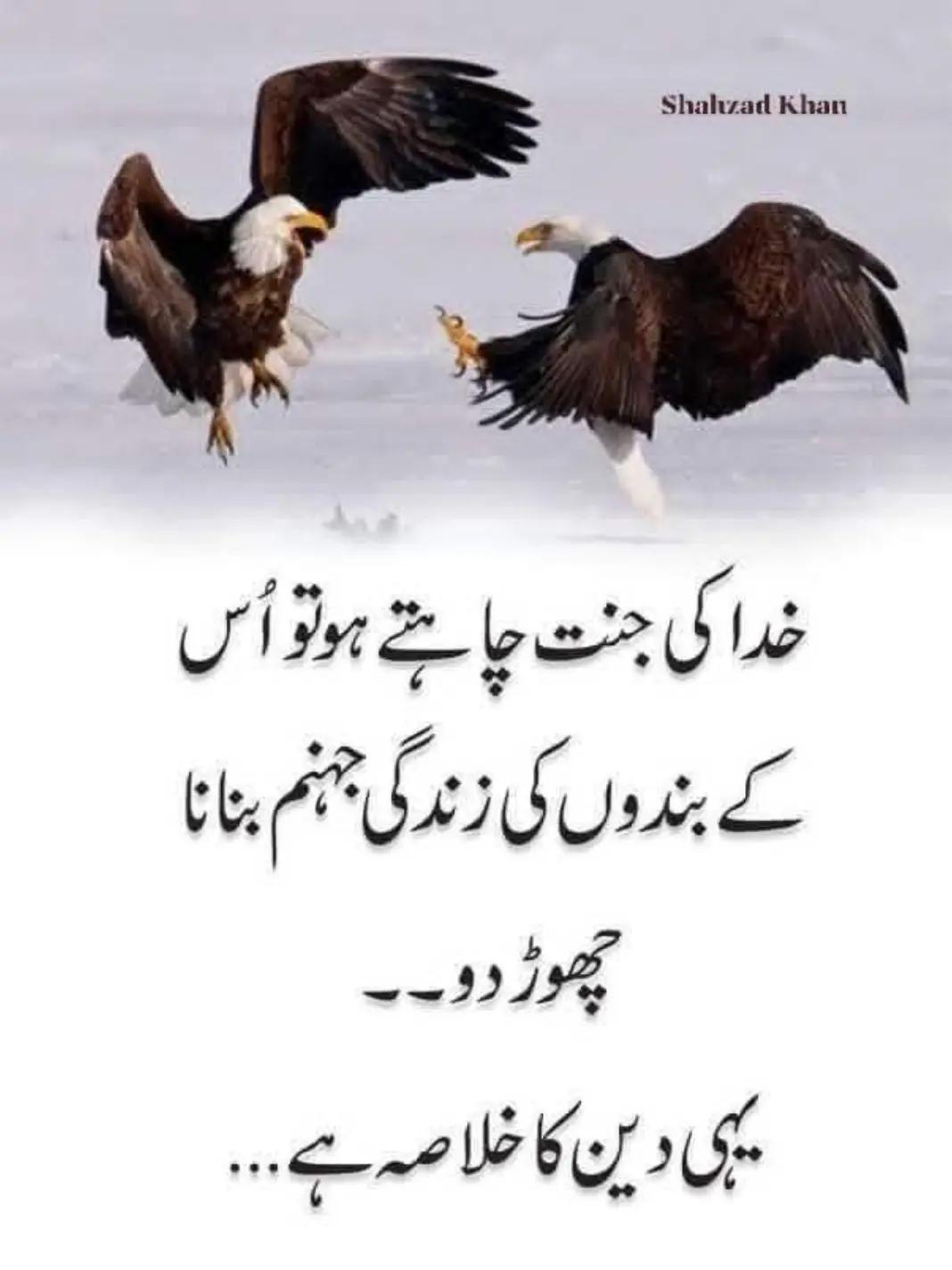 @NOOR QURESHI