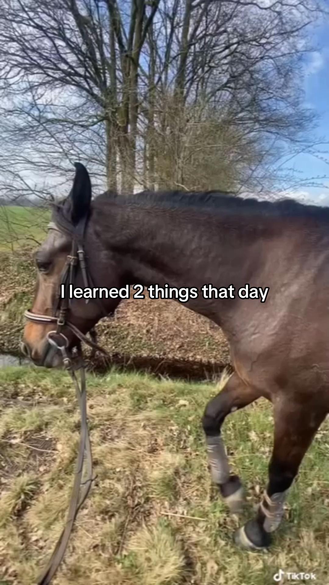 @🇳🇱Madelief🇳🇱