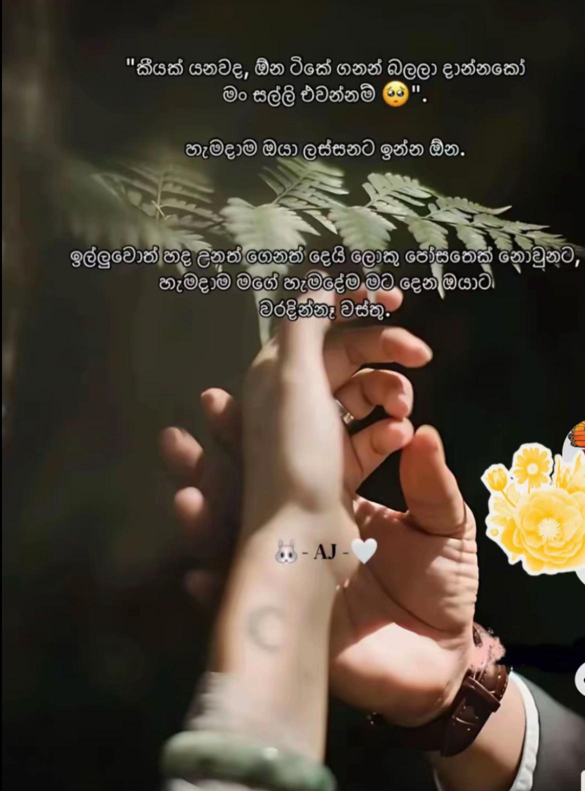 @🦋🐣චූටී_🇰🇷♥️다루시🧿🧚♀️🐾🖇