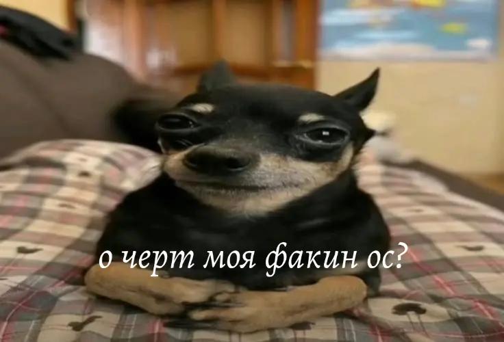 @𝗦𝗜𝗫𝗧𝗘𝗘𝗡 𓆩𐏑꘦𓆪