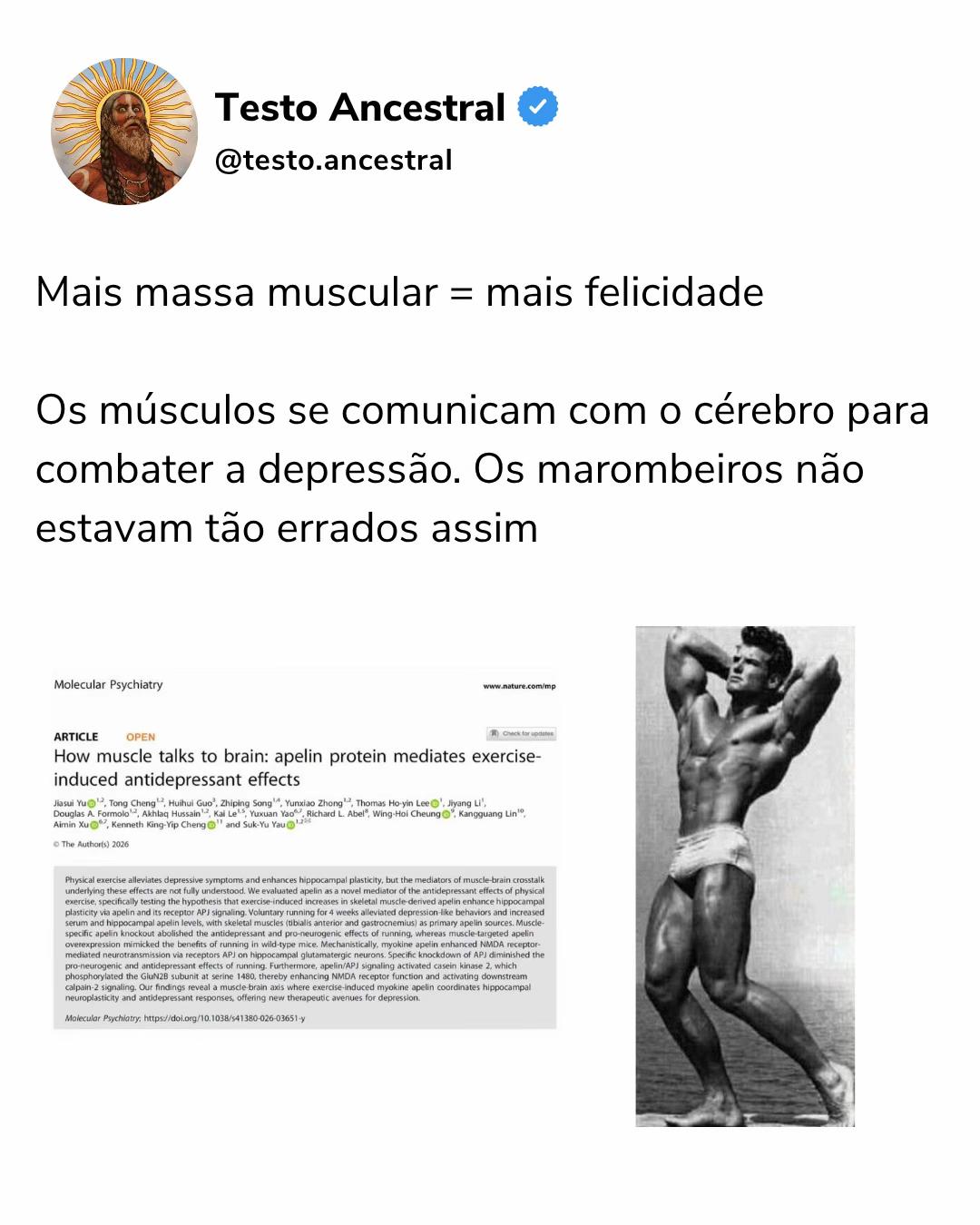 @testo.ancestral