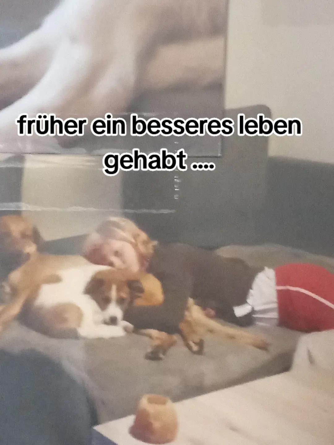 @Sophie Clauß