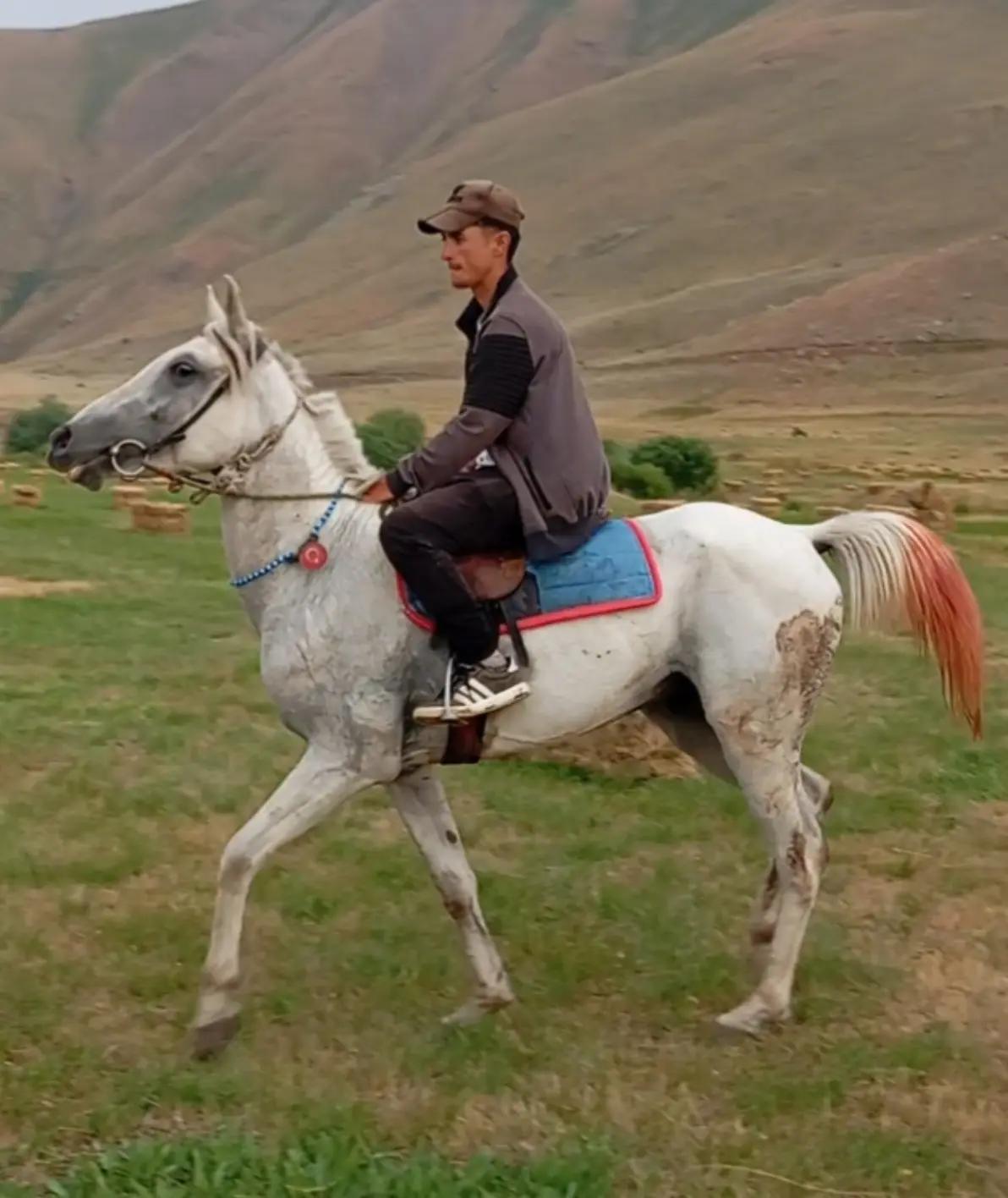 @çatlı şaho