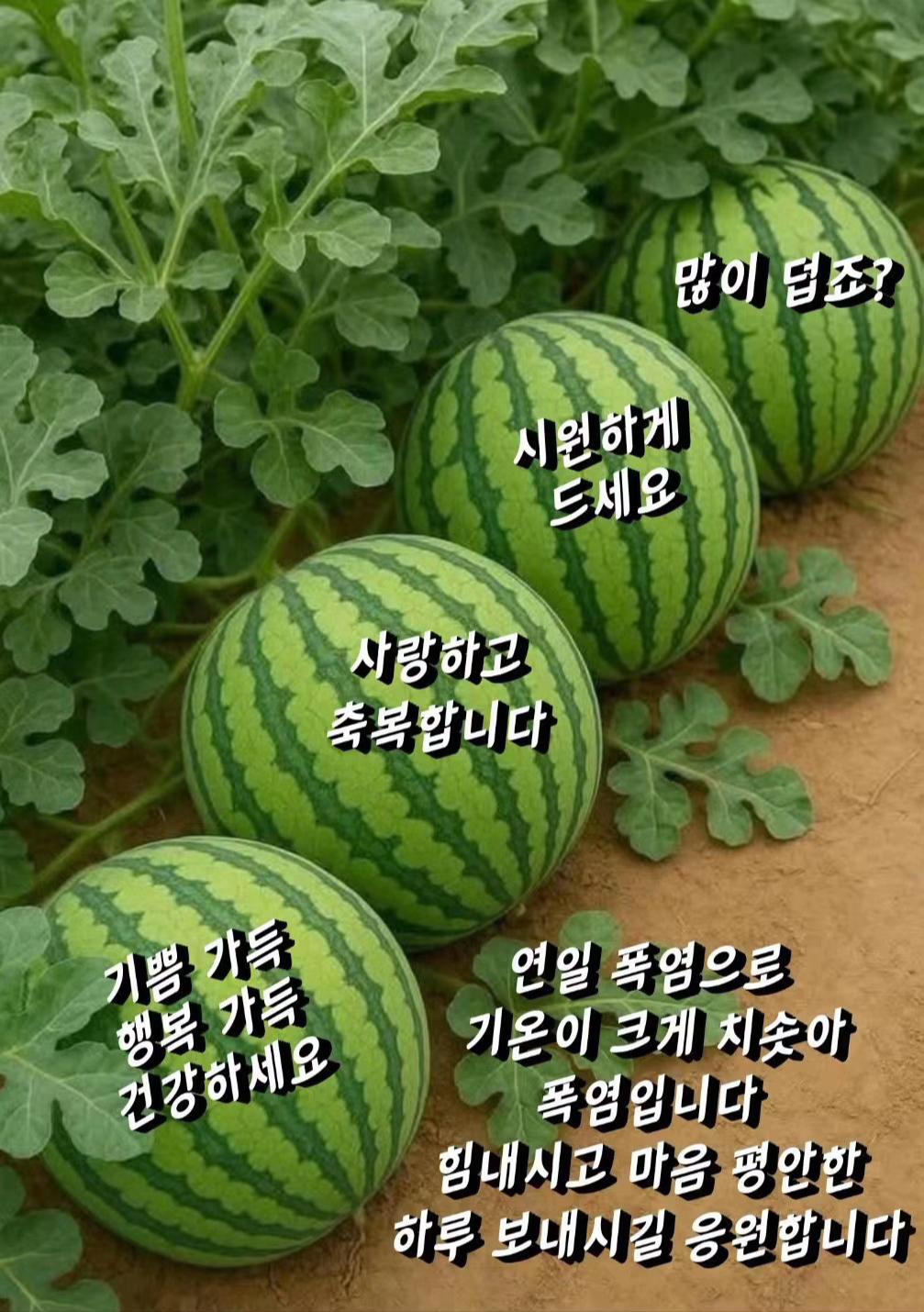 @🕵️👉🏻촌마을 농사꾼 청춘할배👈🏻🕵️