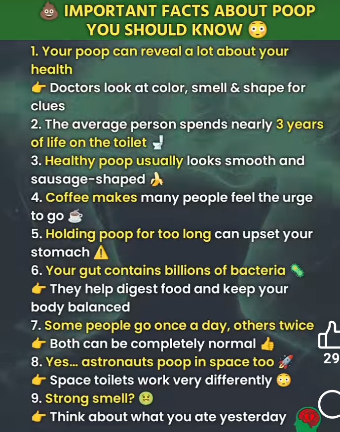 @Dr.domaalynd0