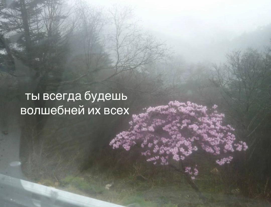 @тг: грустнобезтебя 🪶