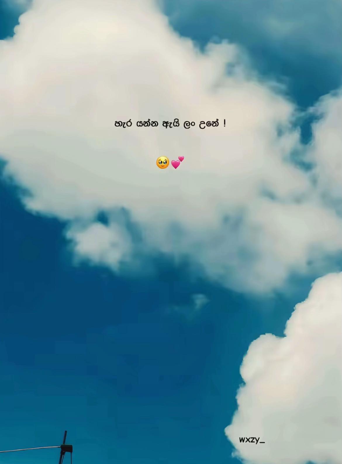 @๐ฉ๐ธ๐ฎ๐ชผ"