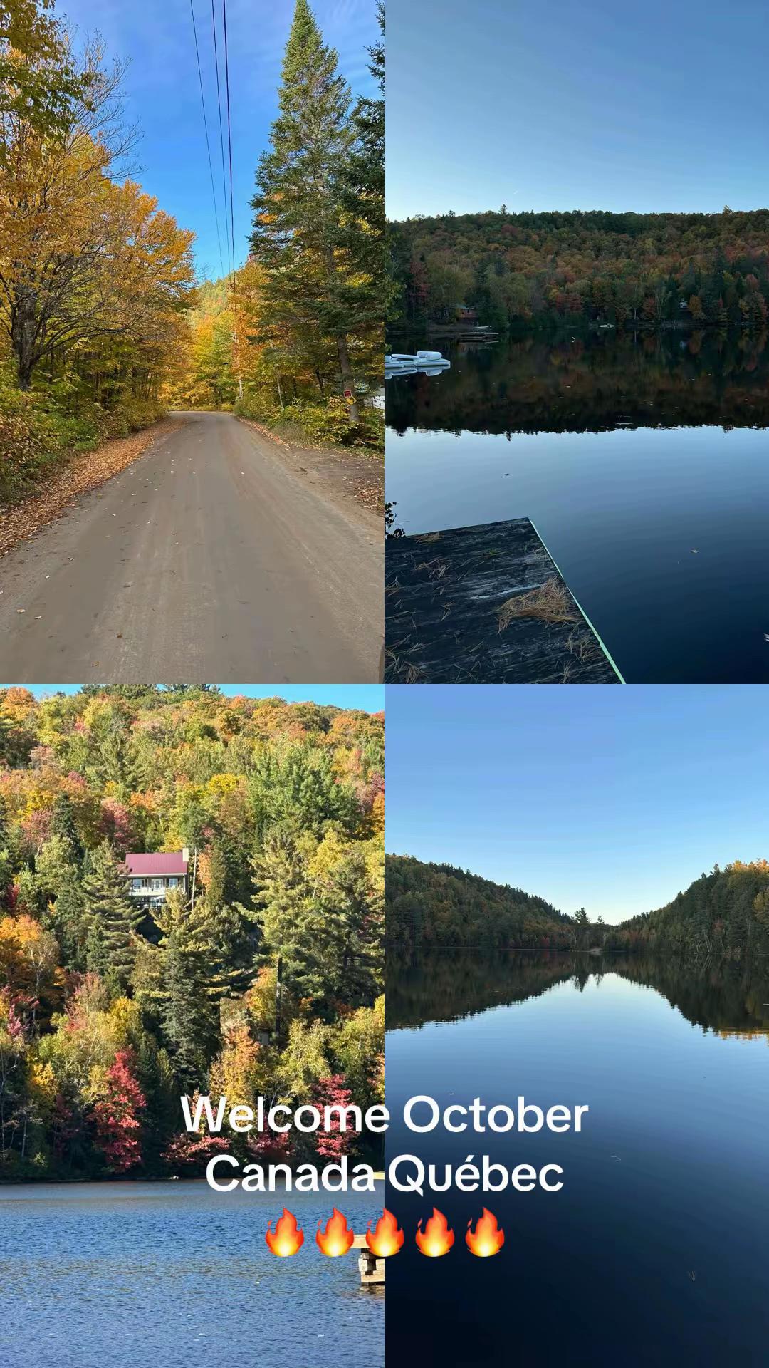 @caroleperreault55