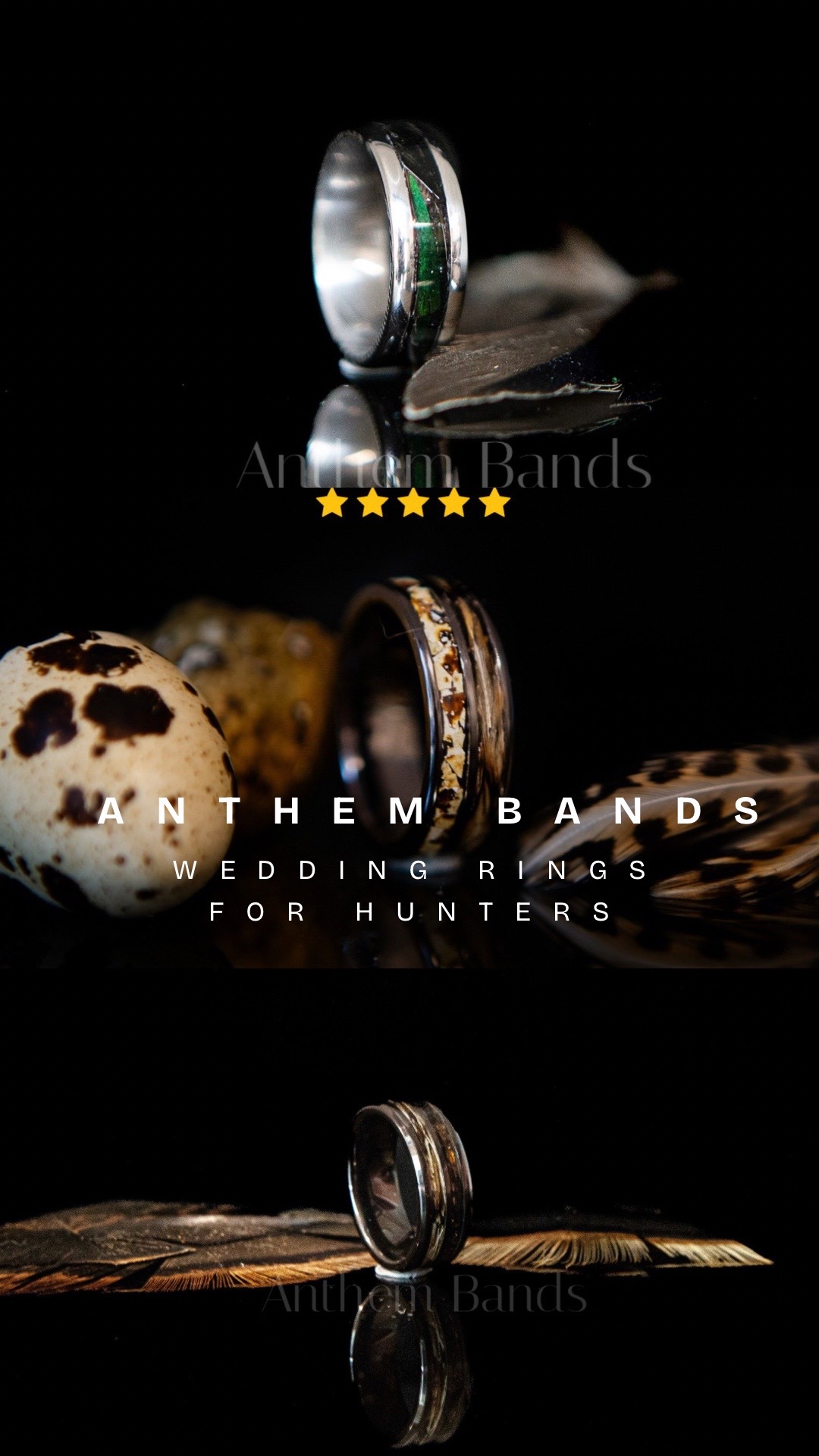 @Anthem Bands
