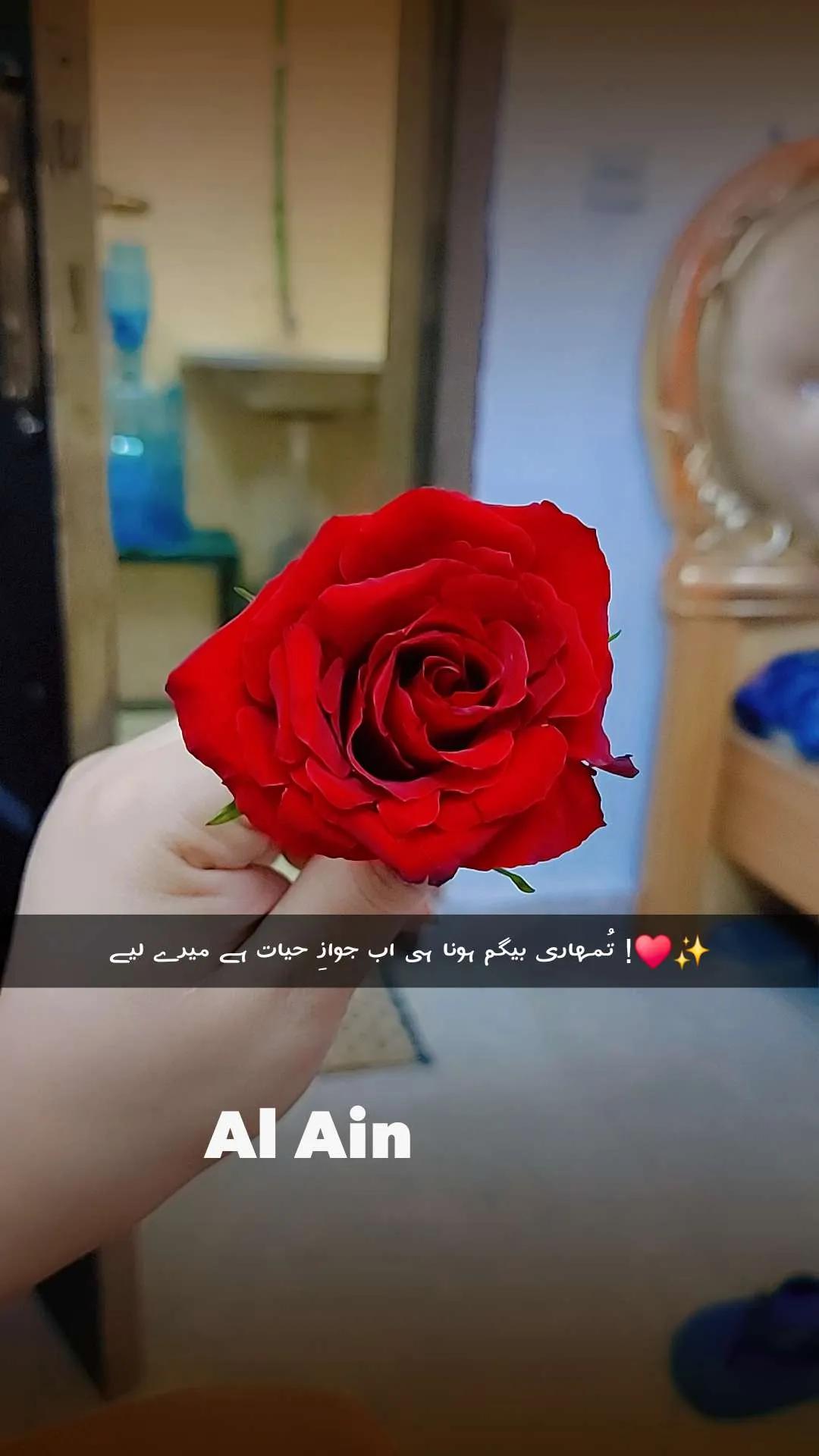 @شيخة العين🥷🥀🦋