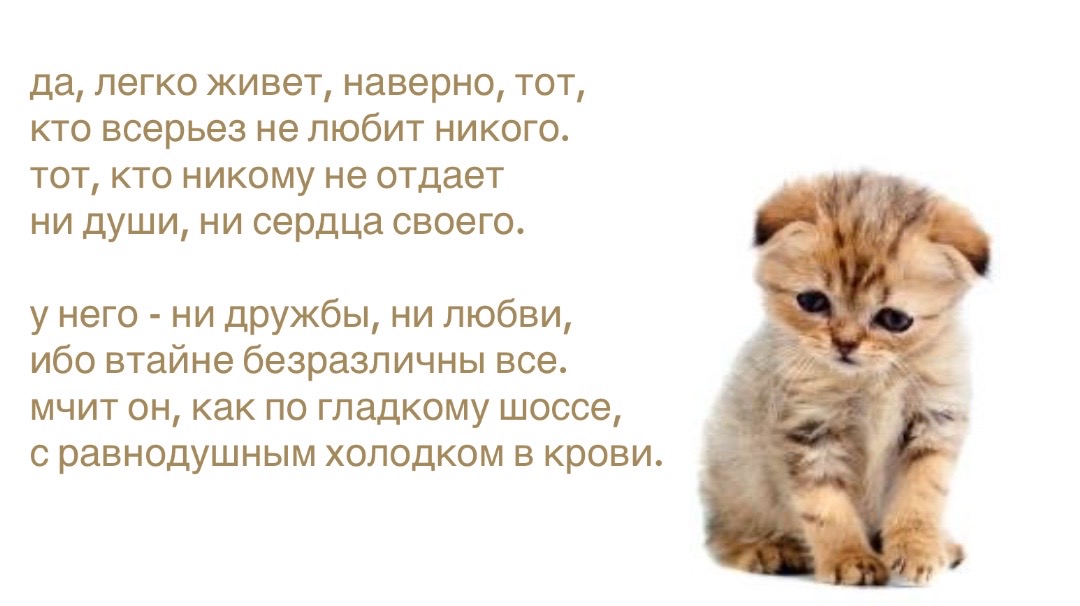 @𝗉𝖺𝗋𝖺𝗇𝗈𝗂𝖽 𝗌𝗁𝖺𝗆𝖾