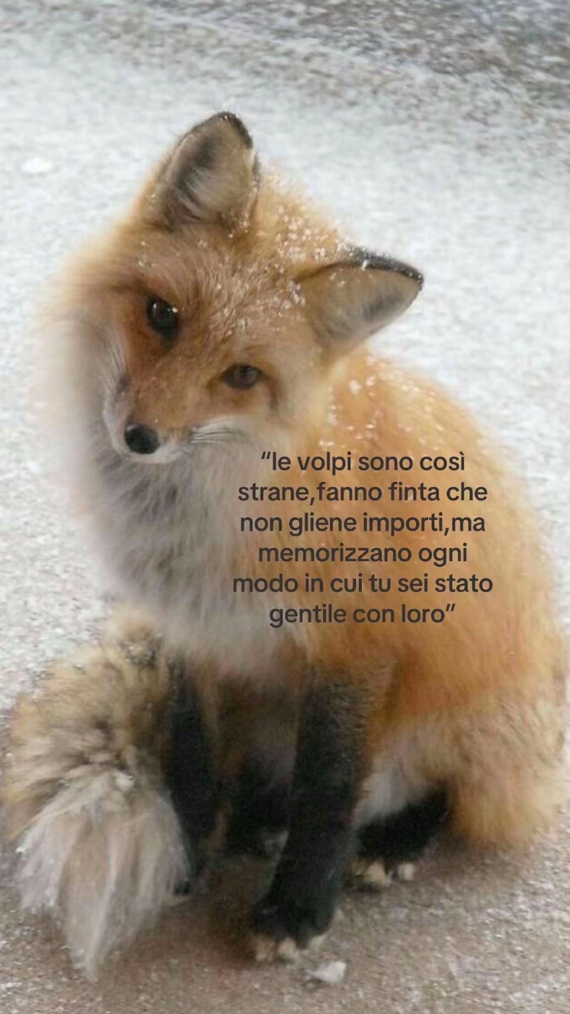 @ele_spamm30