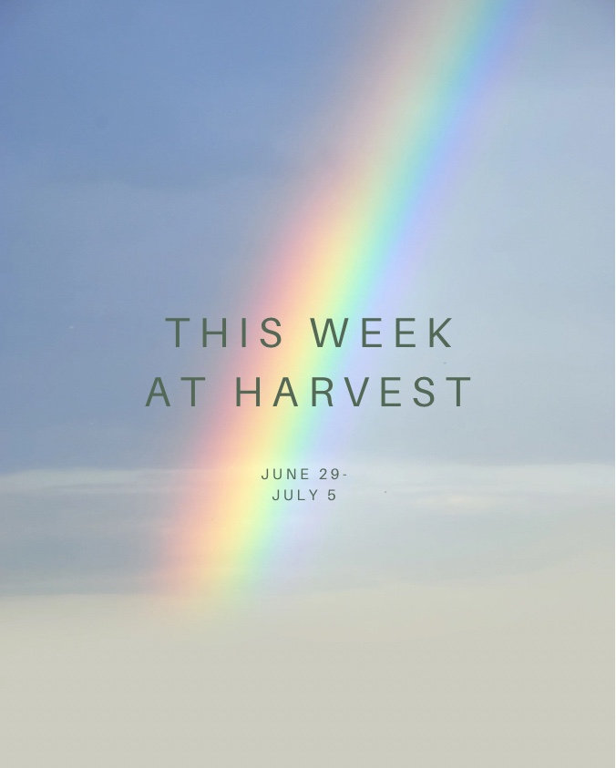 @Steph | Harvest