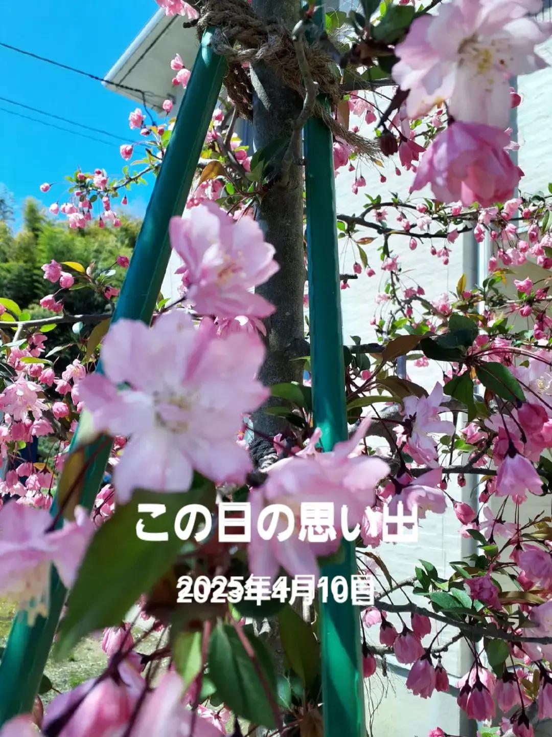 @ターボー