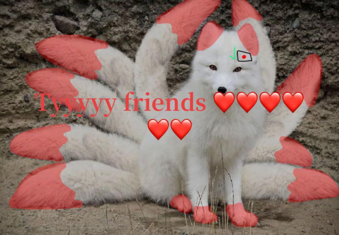 @きつね🦊🇯🇵🐾