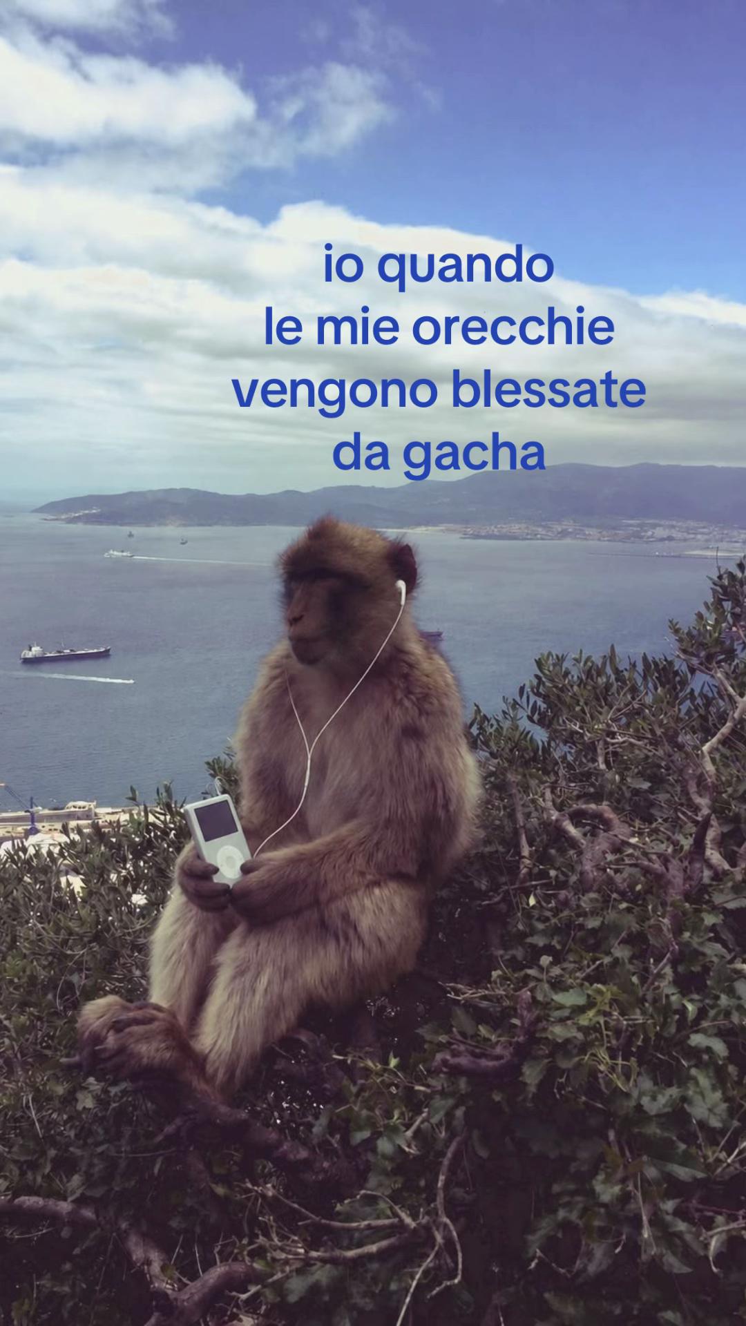 @ballas.ecoixs