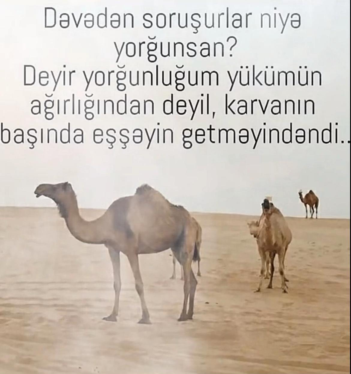 @Dəsdək