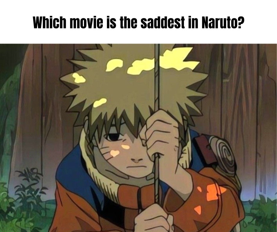 @AnimeFact Hunt  ✅