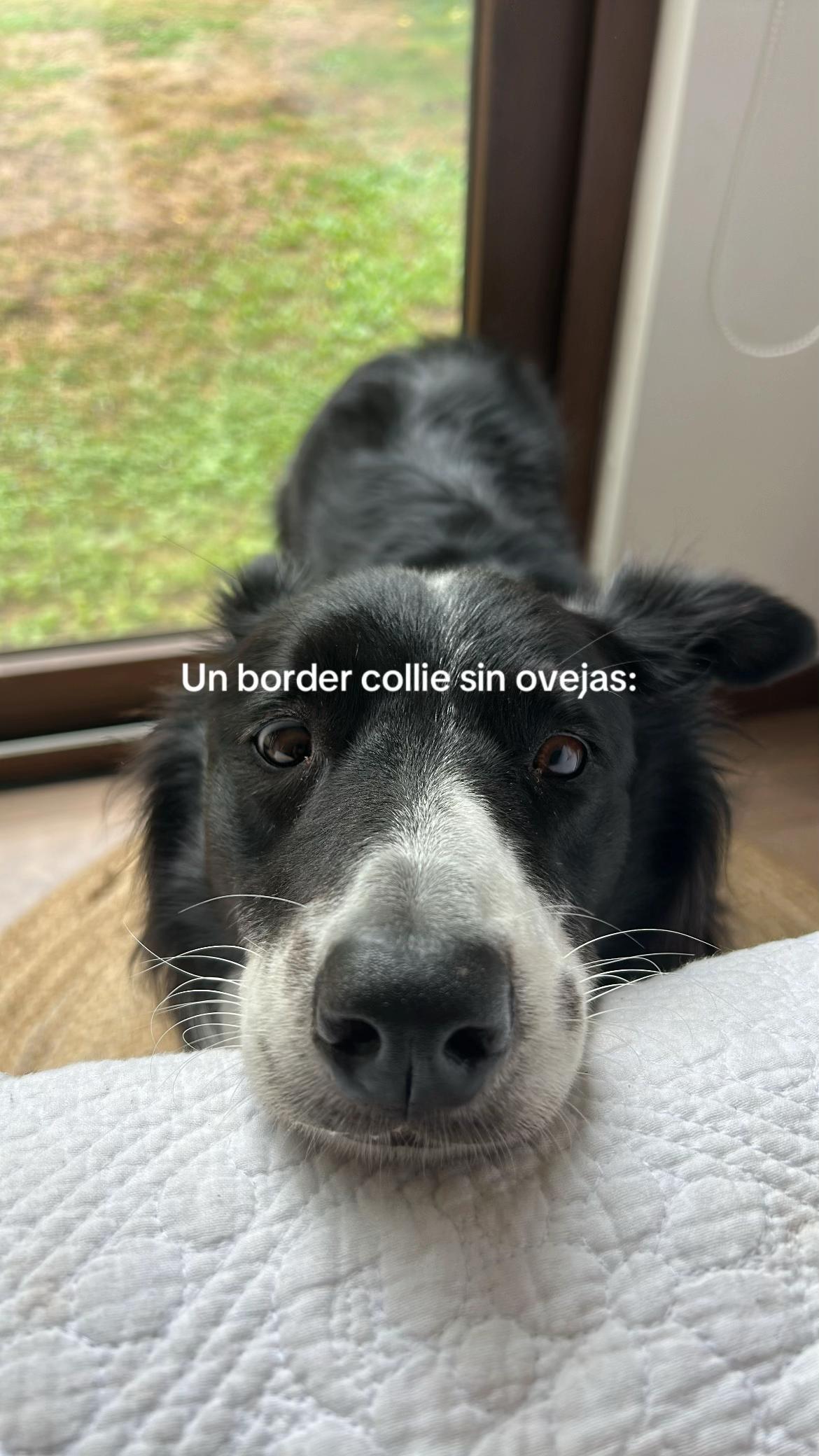 @Pía Romero