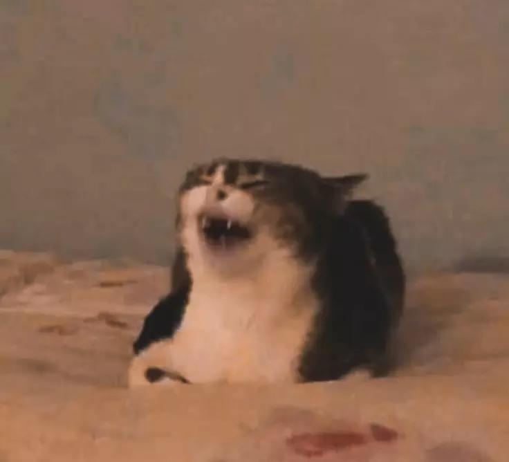 @BoB