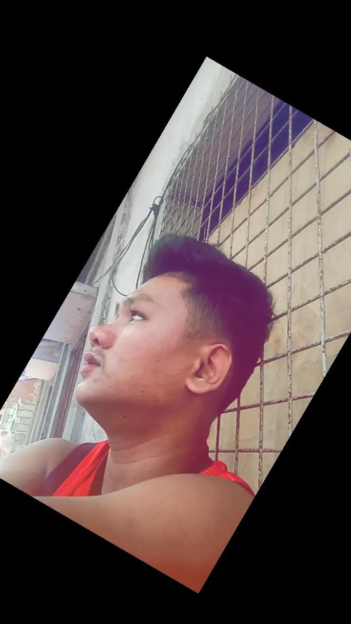 @boss rot @