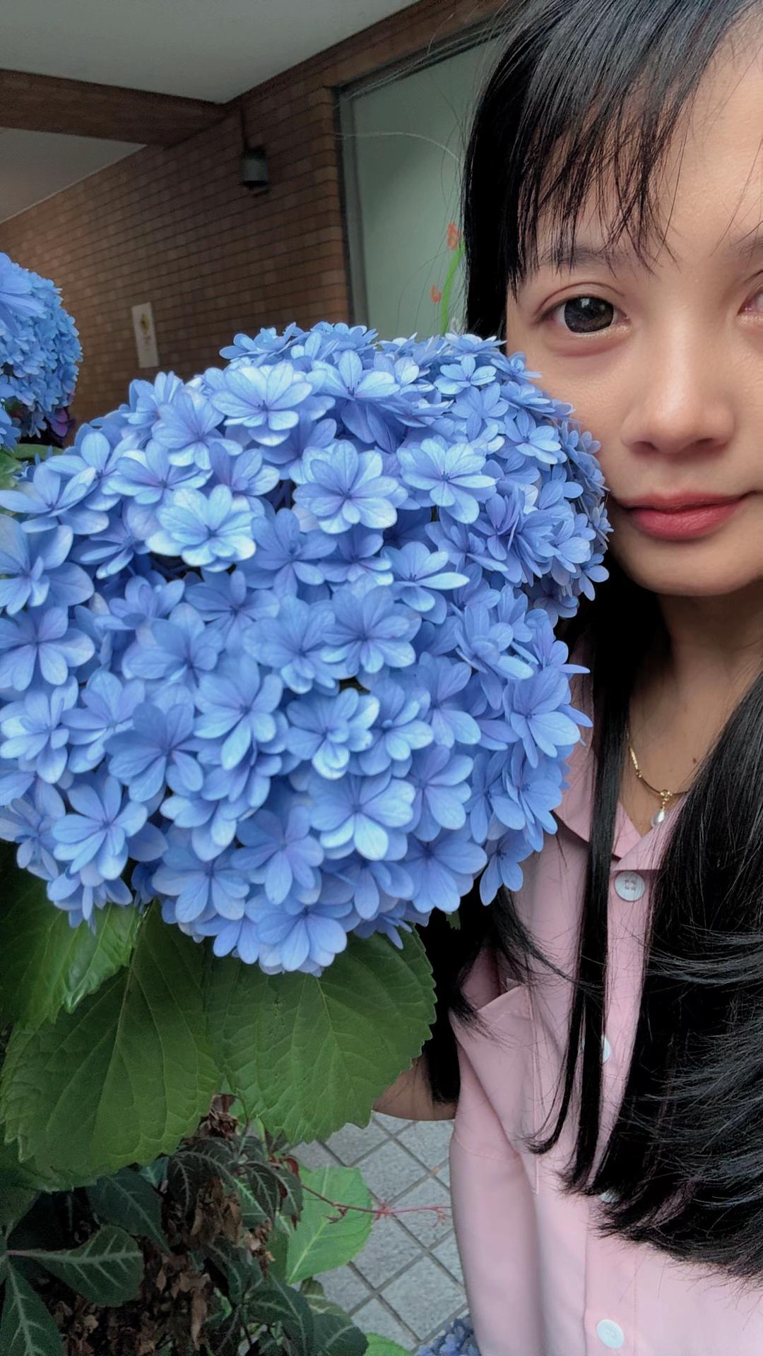 @alfymochi
