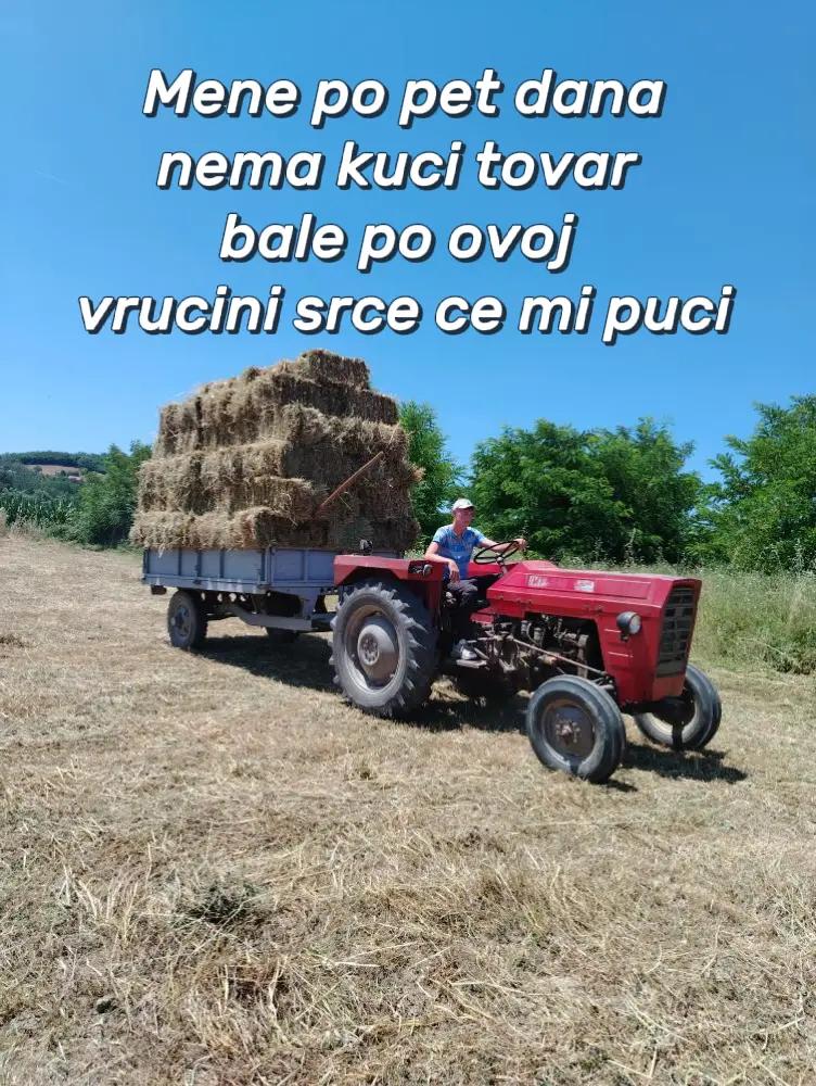 @_BRANKOVIĆ_
