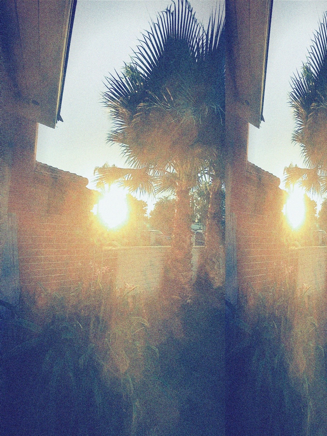 @🦋𝐣𝐚𝐳𝐦𝐢𝐧🪼