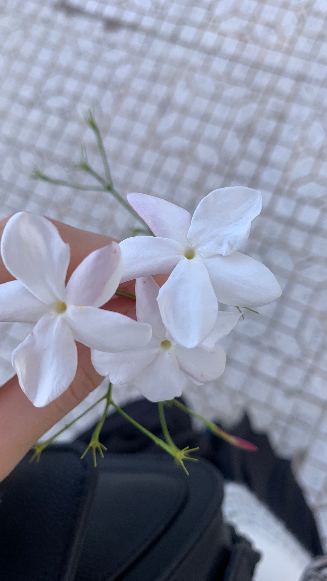 @أمنية ✨