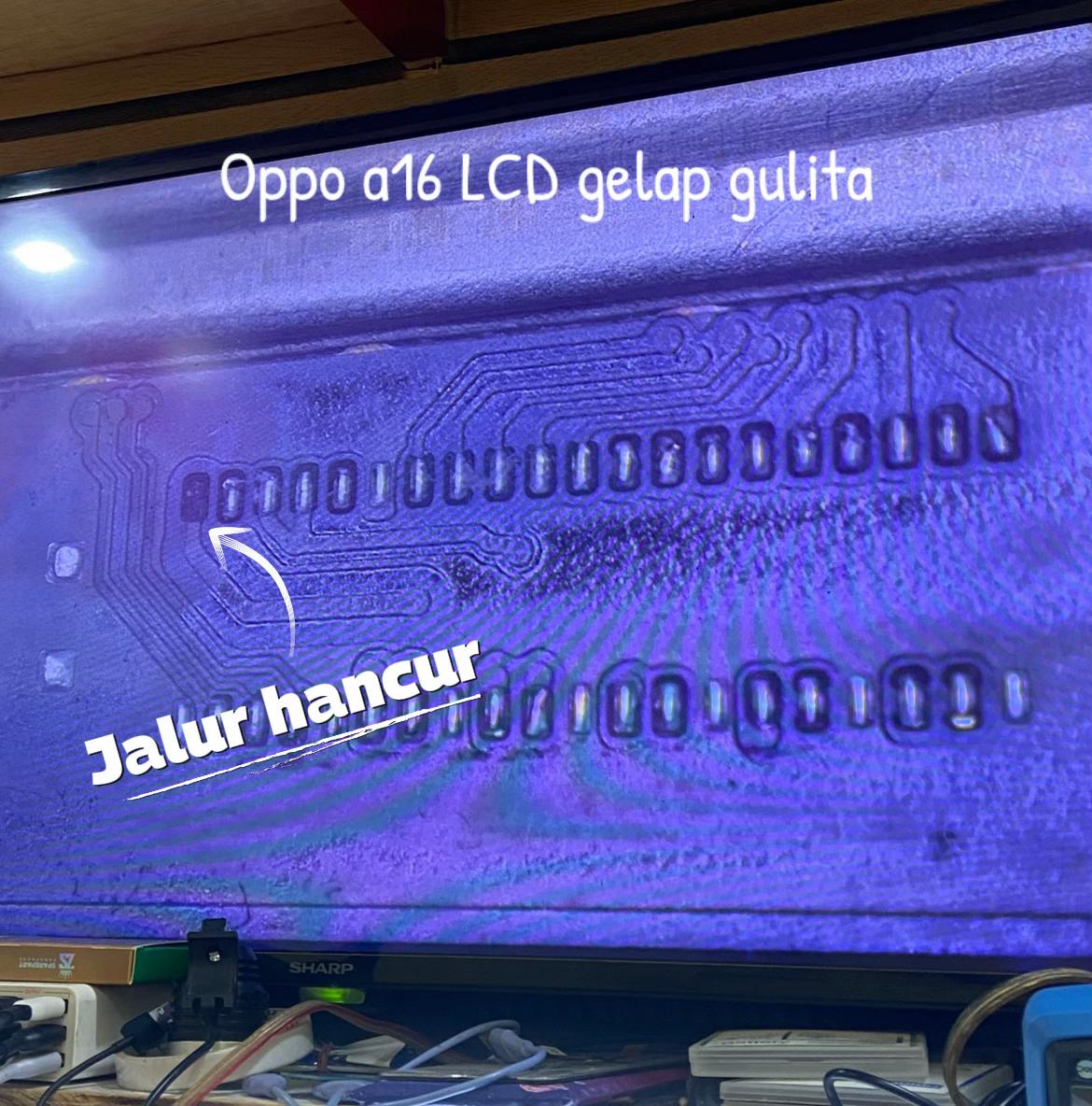 @Jhueng Cell