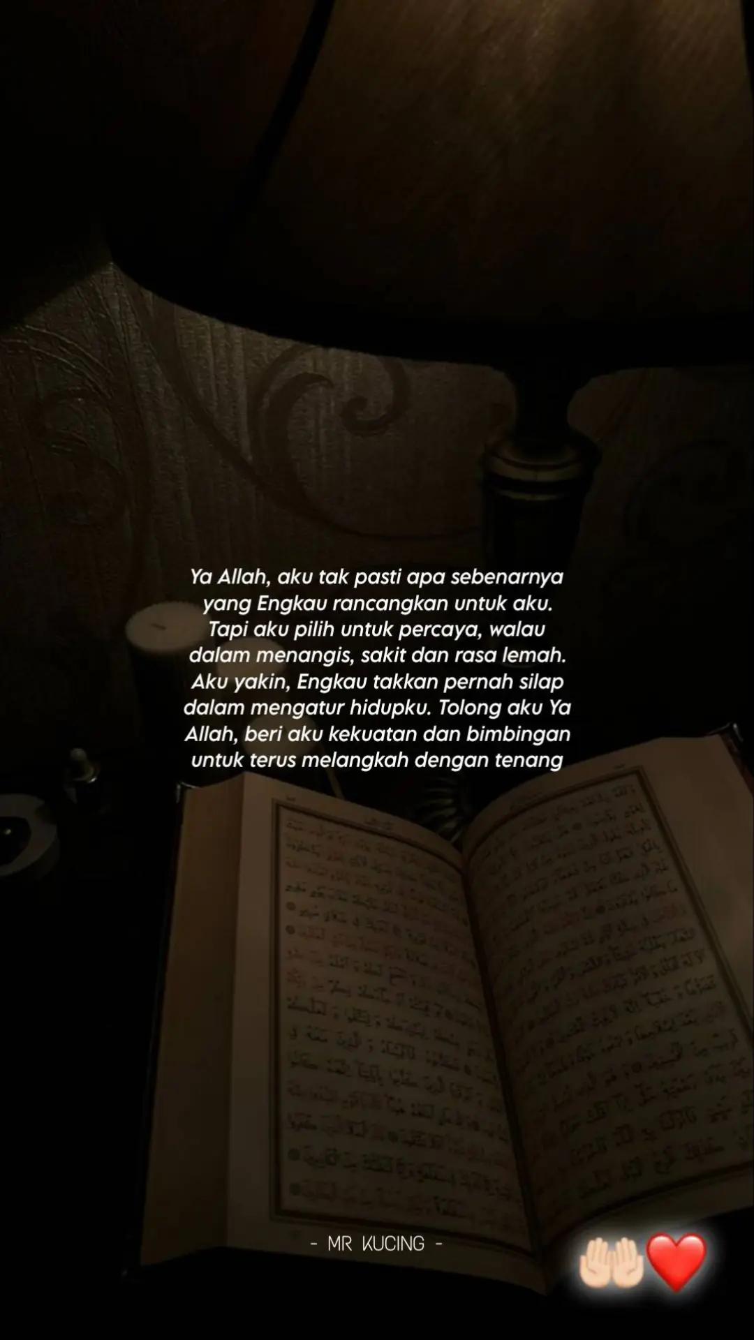 @MR KUCING 🇵🇸