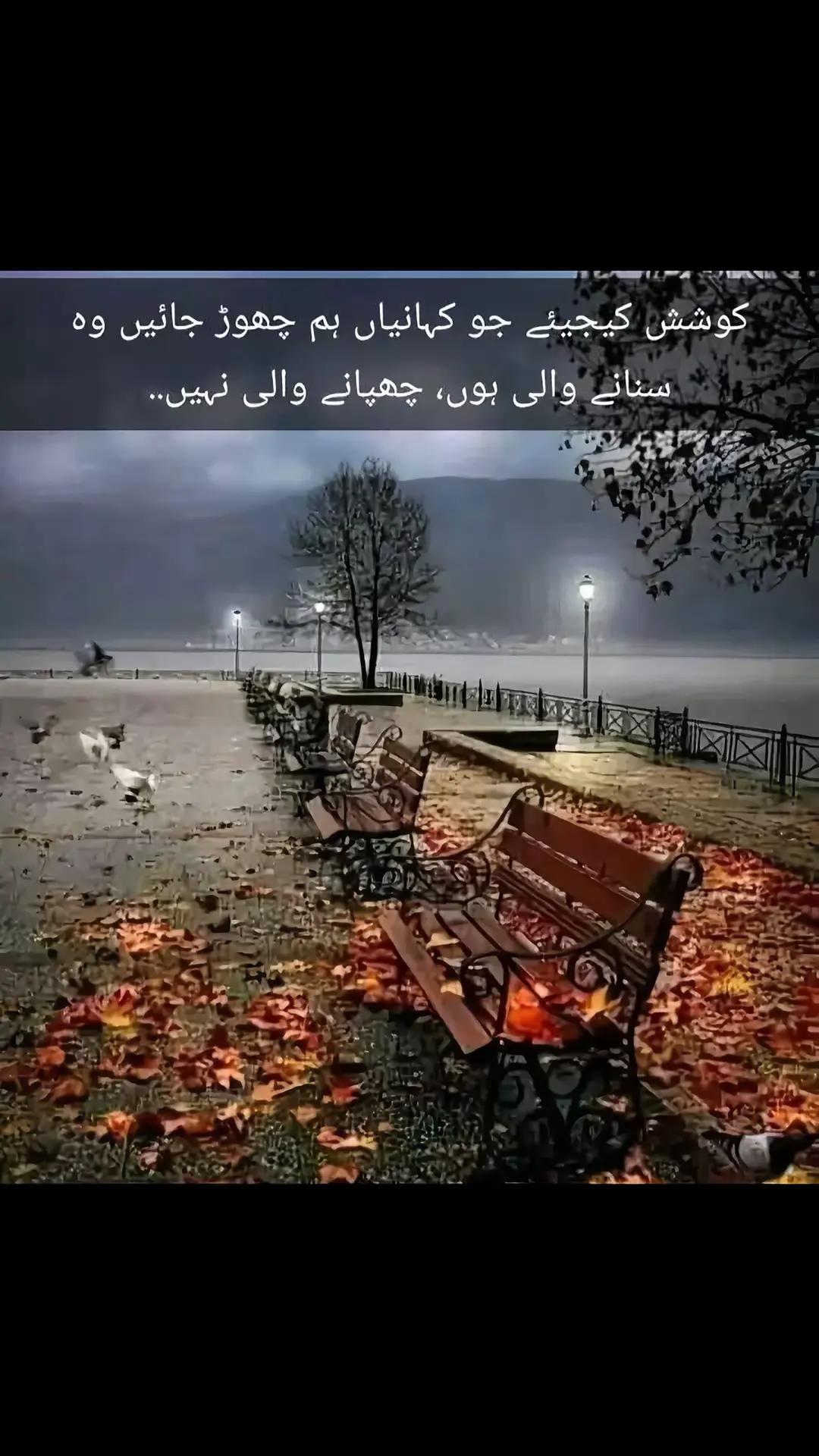 @inzamam jani