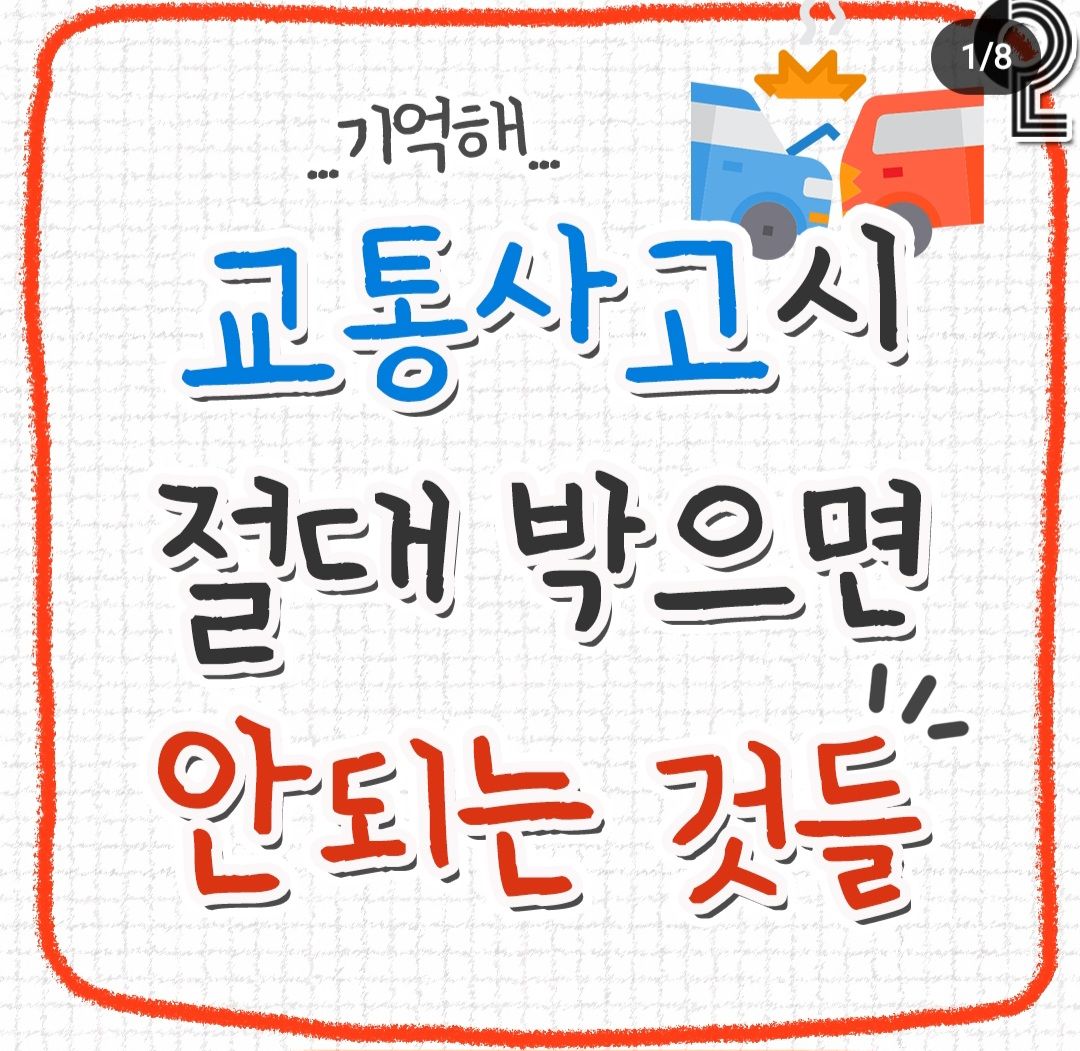 @송이송이쏭쏭이