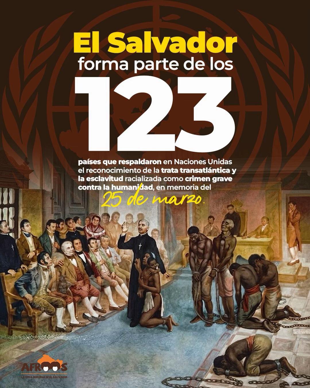 @fundacionafroos