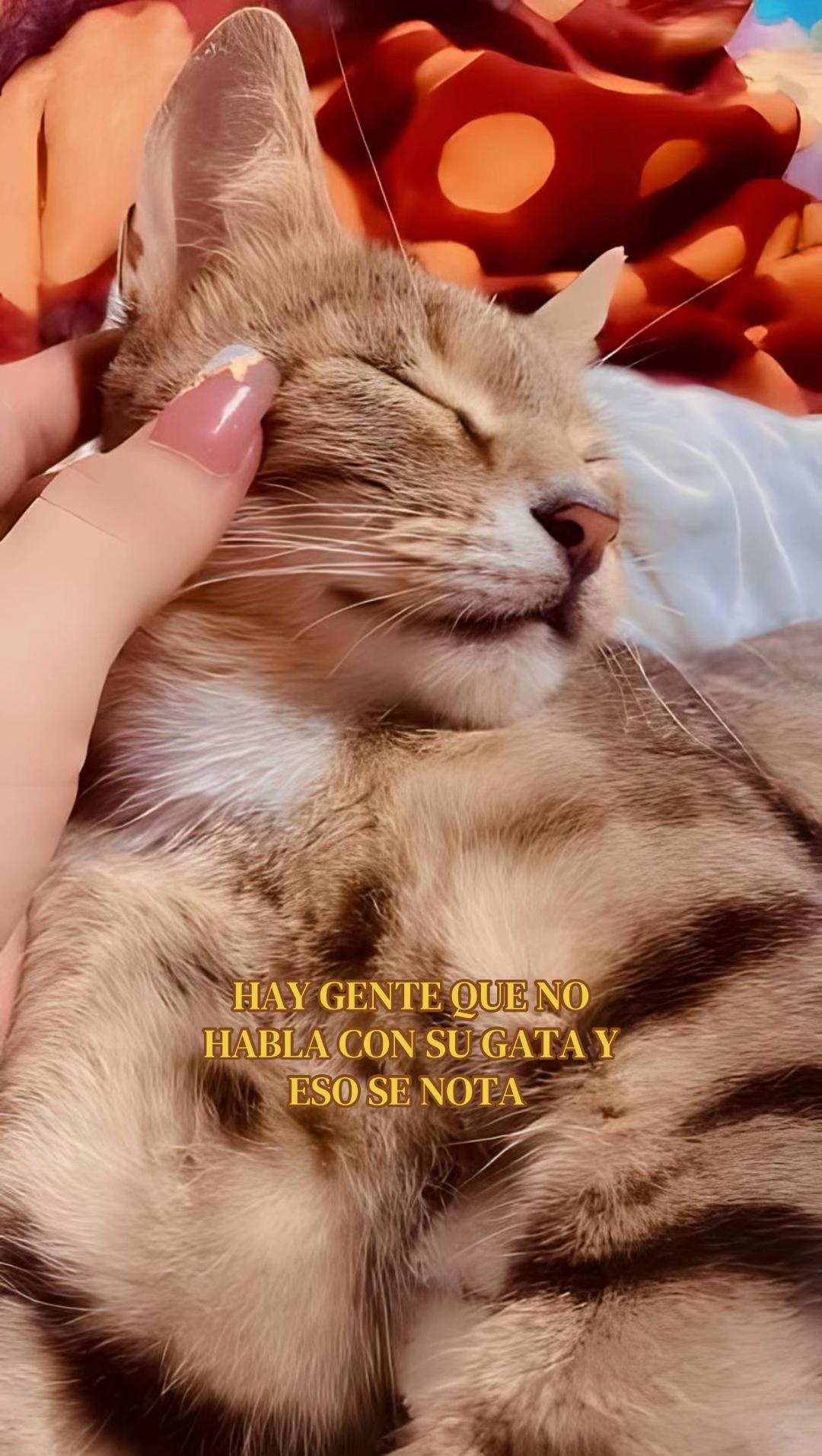 @_.wen6