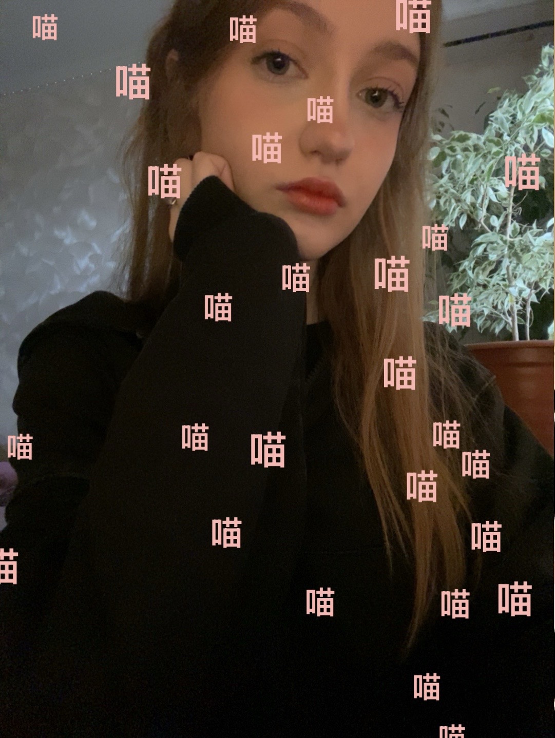 @tuchkv