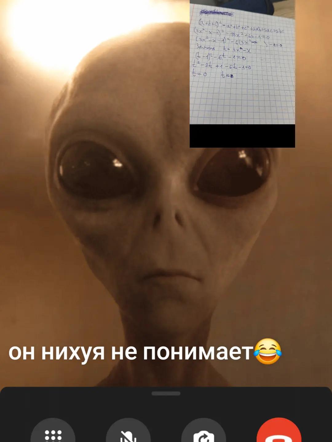 @xlebka