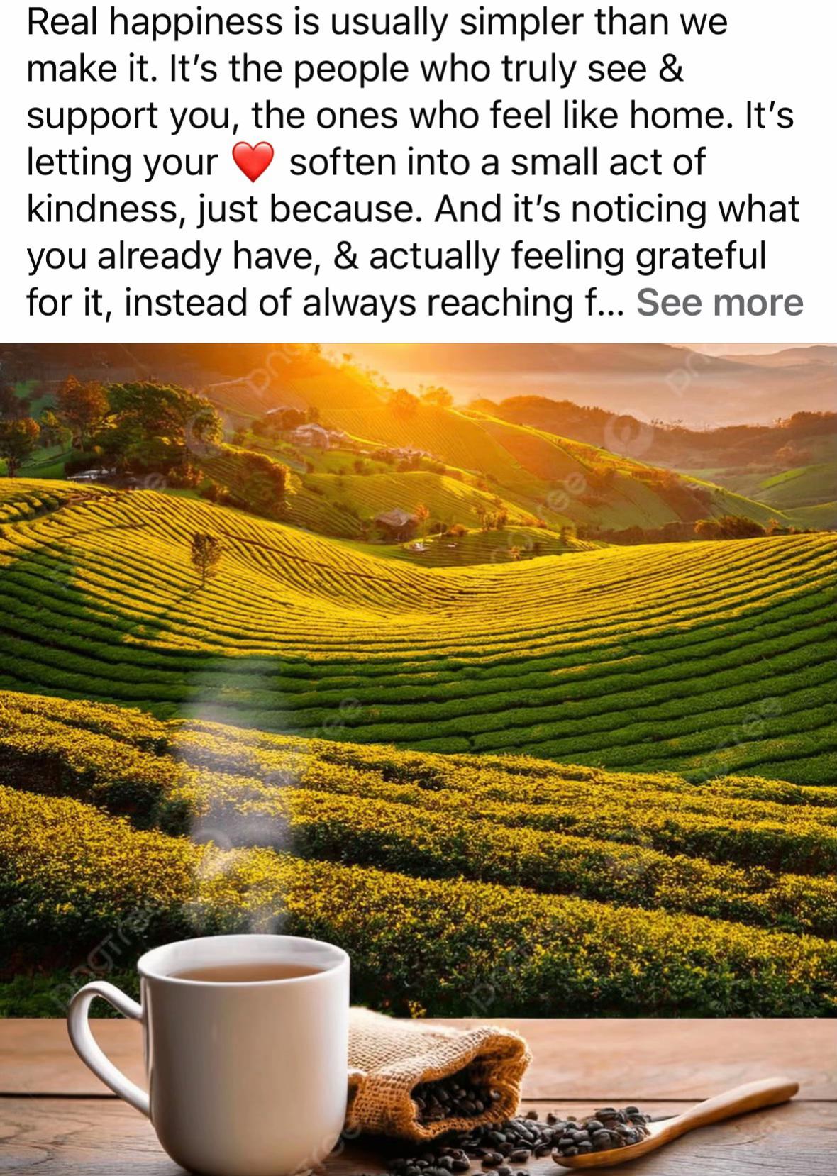 @WisdomWithMammaB