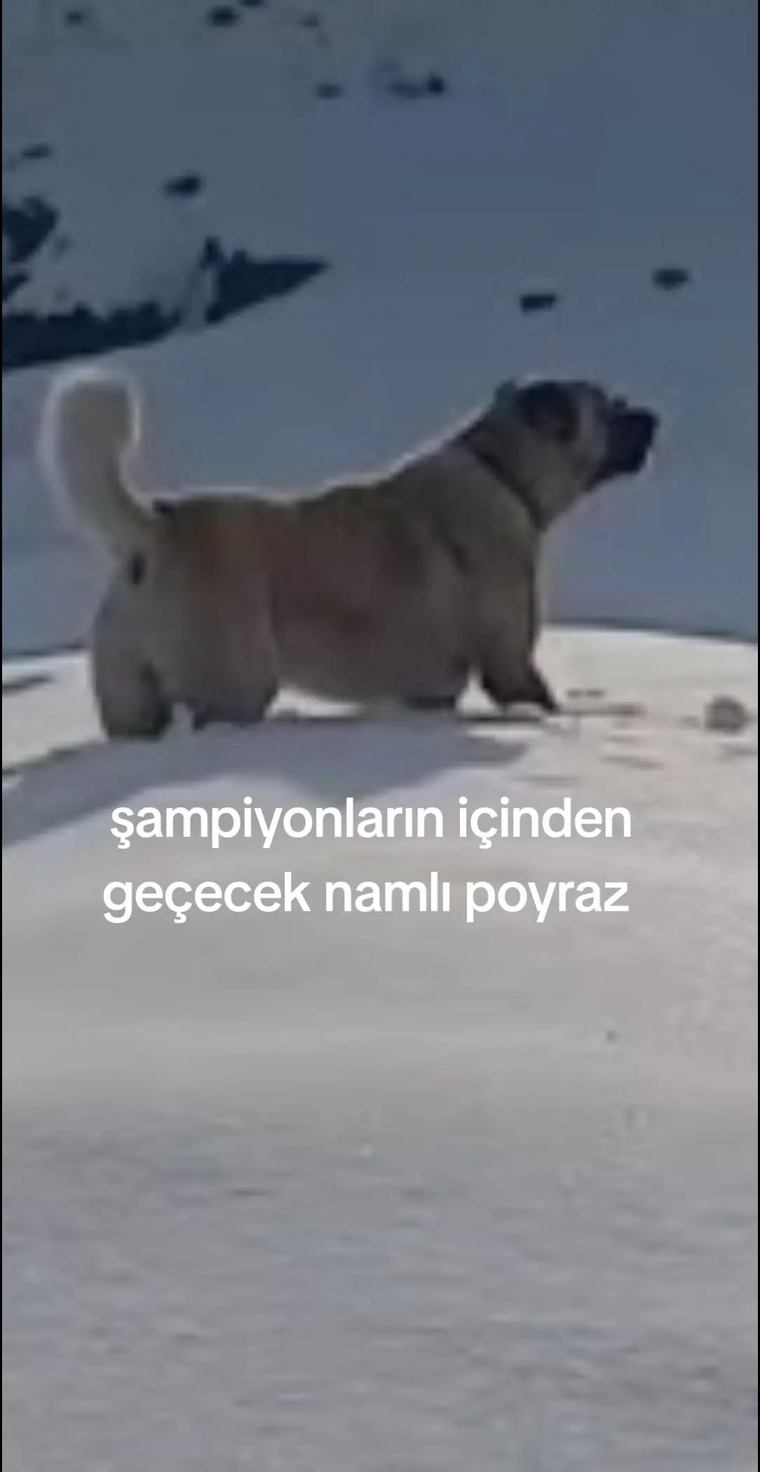 @erdogan 25