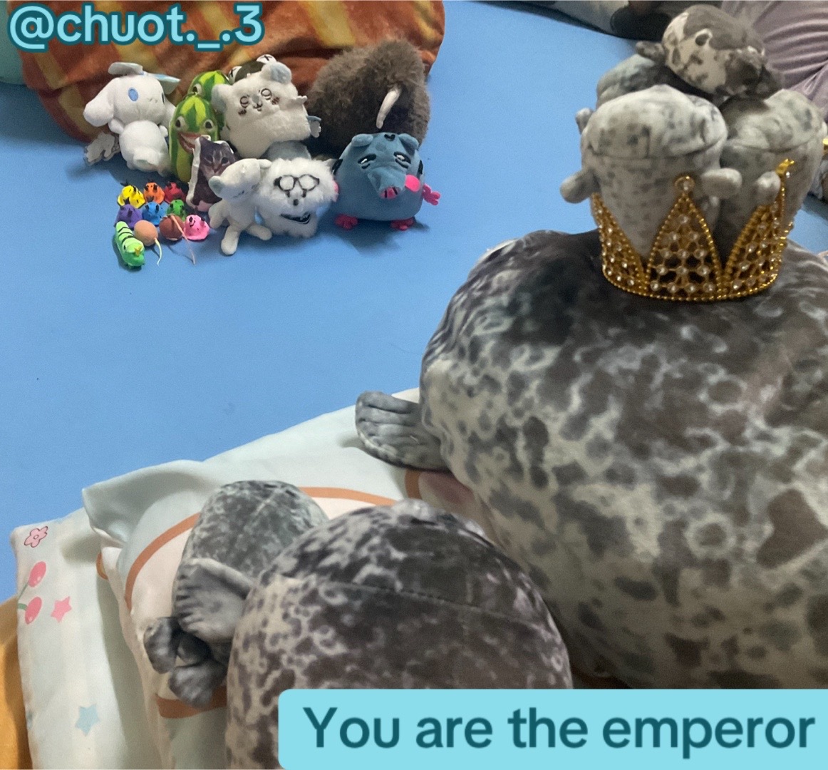 @⋆。˚꒰ঌ 𝐇𝐀𝐈 𝐂𝐀𝐔 ໒꒱˚。⋆