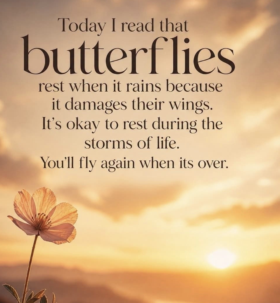@Lisa@elevateyourlife