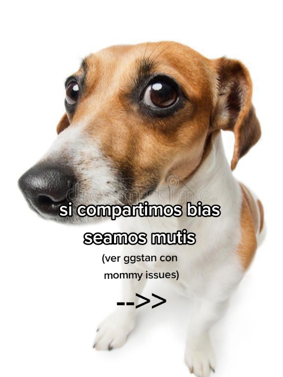 @flor lvs dia