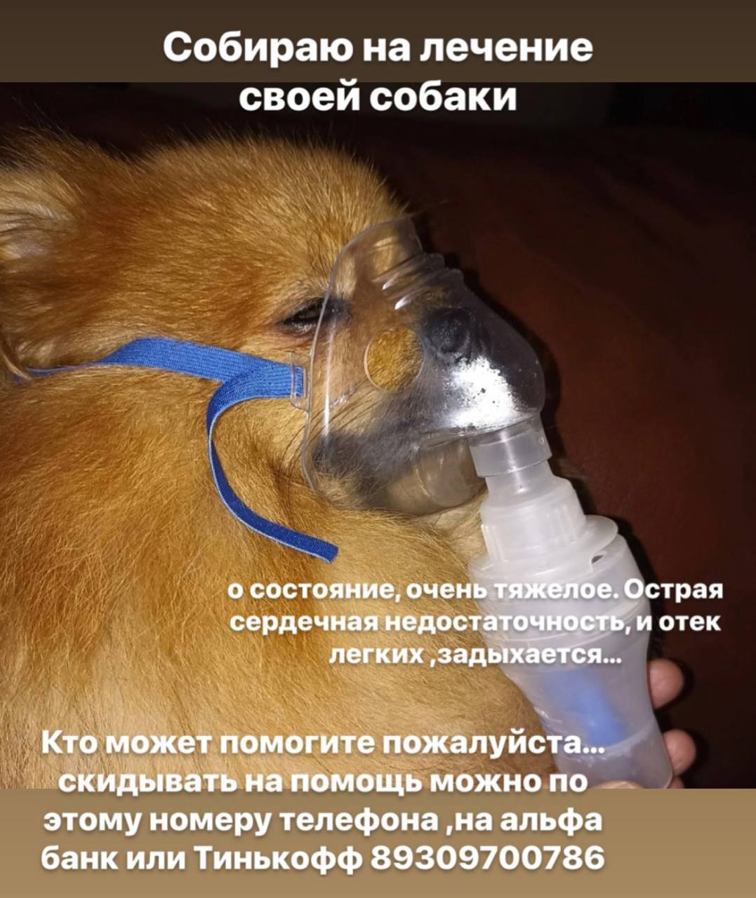 @Футажи M
