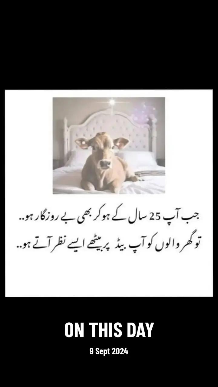 @❤️ Aamir Khakwani 💧خاکوانی