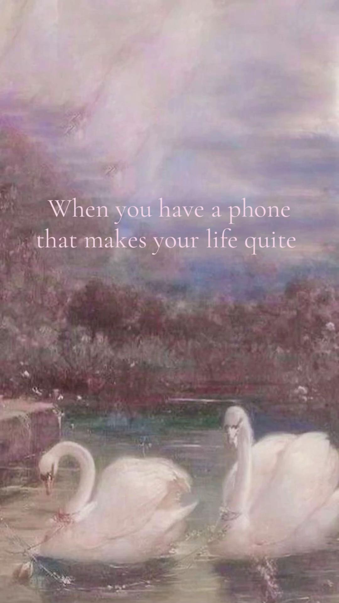 @๐’๐ช