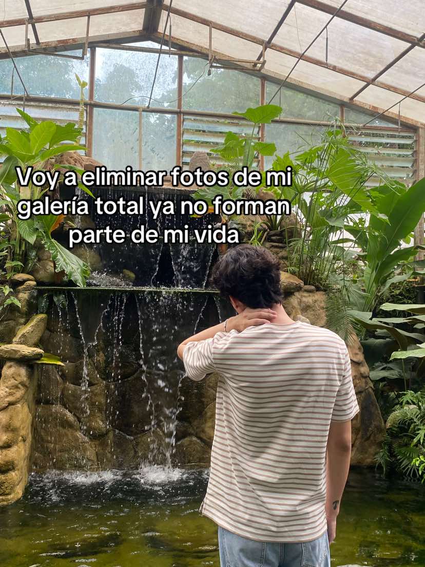@Danobtt ✮⋆˙