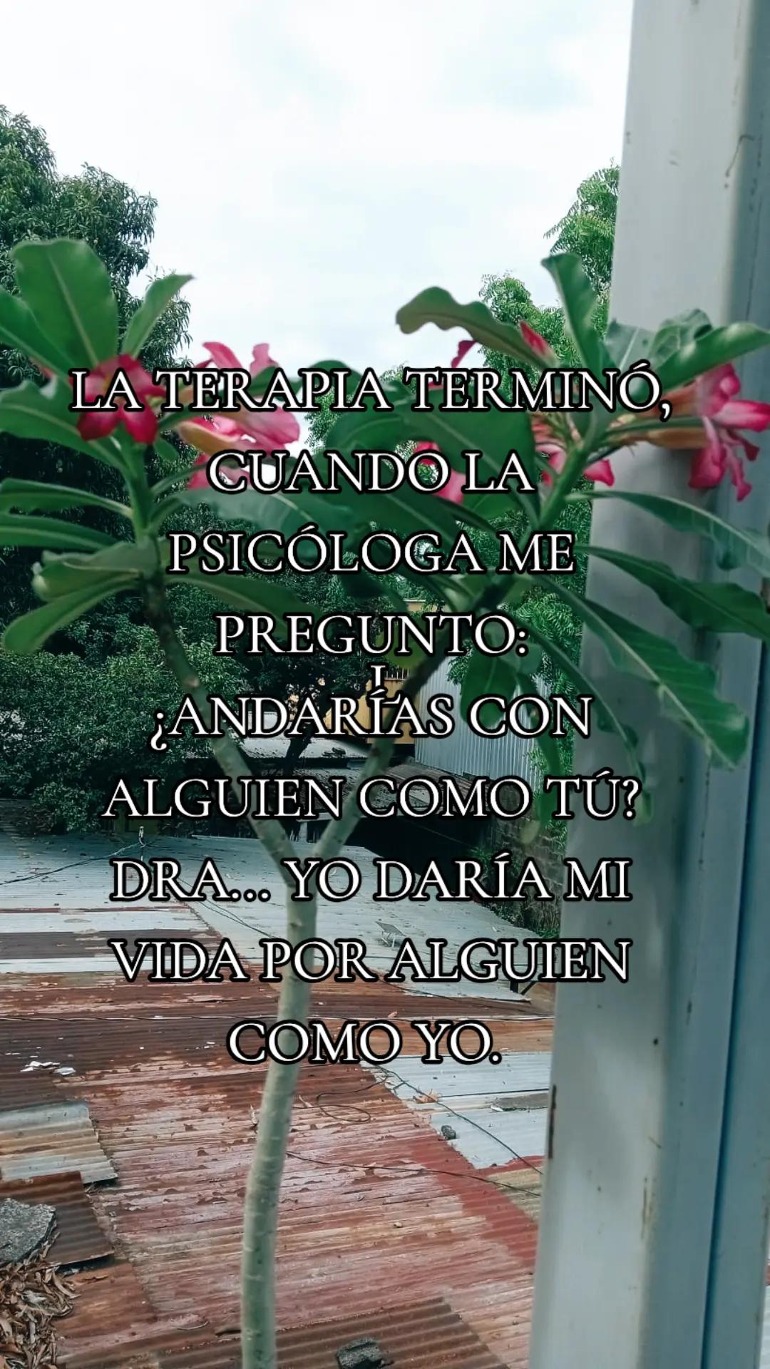 @Do&ntilde;a Yamy La del Bailongo.